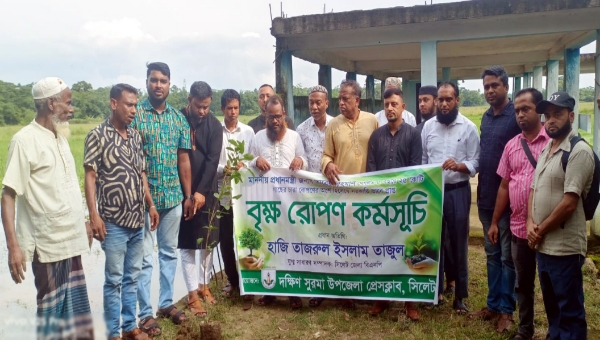 বৃক্ষরোপণ সবুজ বাংলাদেশ গড়ে তুলতে গুরুত্বপূর্ণ ভূমিকা রাখবে