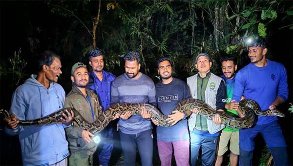 কমলগঞ্জে বাড়ি থেকে উদ্ধার হলো ৪০ কেজির বিশাল অজগর কমলগঞ্জে বাড়ি থেকে উদ্ধার হলো ৪০ কেজির বিশাল অজগর