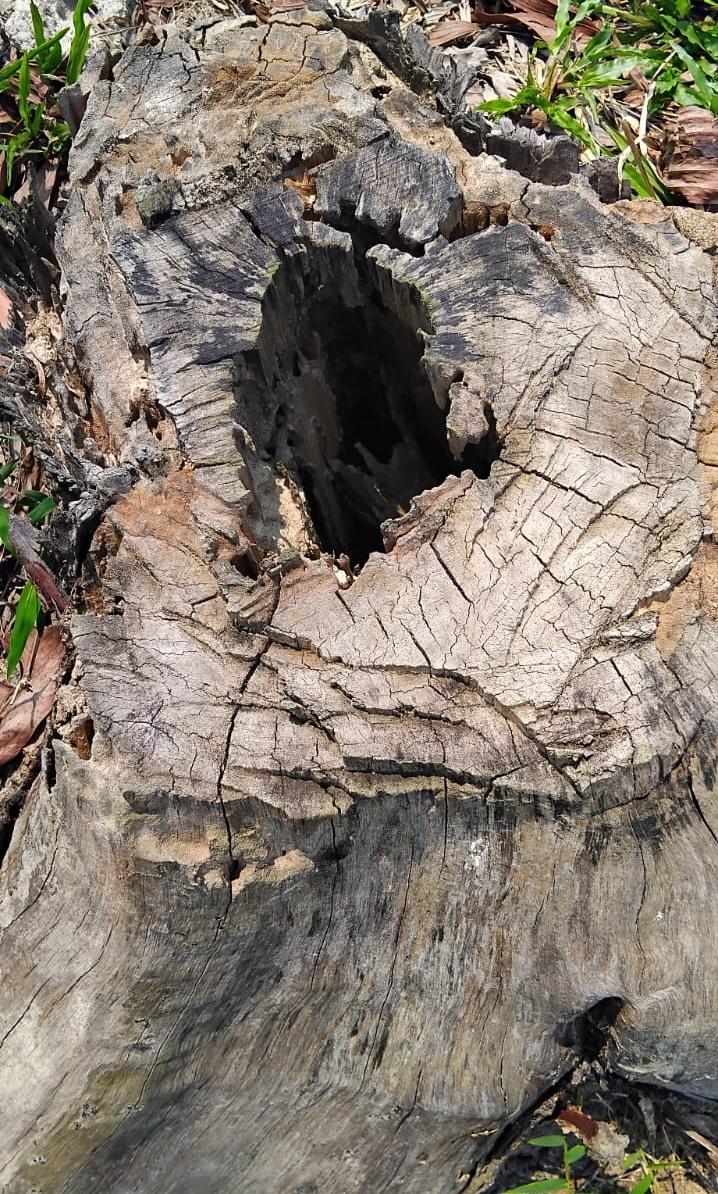 সিলেটে প্রবাসী ভাইদের সম্পত্তি রক্ষায় গিয়ে ব্যবসায়ীকে প্রাণনাশের হুমকি সিলেটে প্রবাসী ভাইদের সম্পত্তি রক্ষায় গিয়ে ব্যবসায়ীকে প্রাণনাশের হুমকি