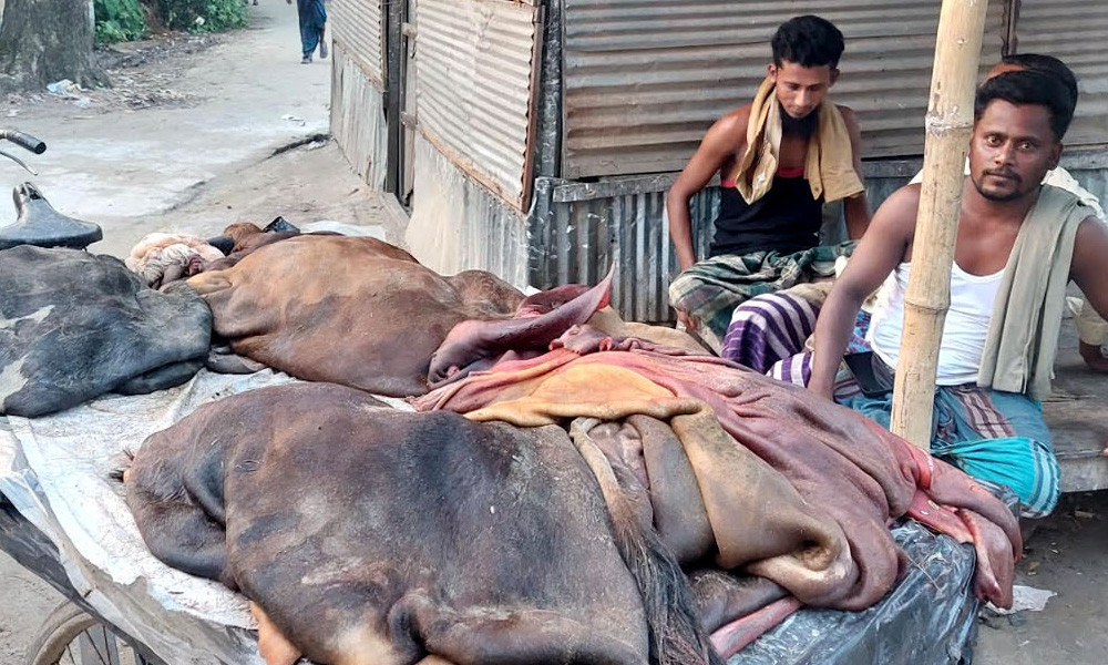 এই শীতে ভাঙন আতঙ্কে দিন কাটছে তাদের