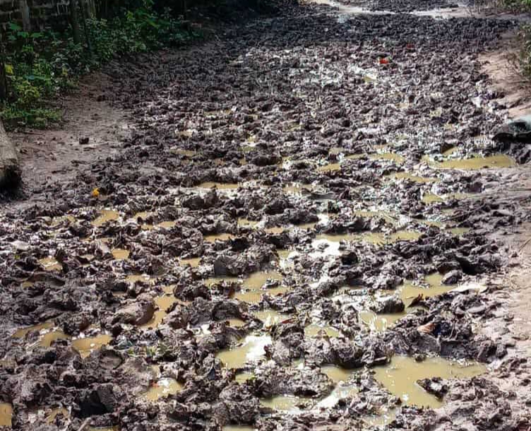 এই শীতে ভাঙন আতঙ্কে দিন কাটছে তাদের