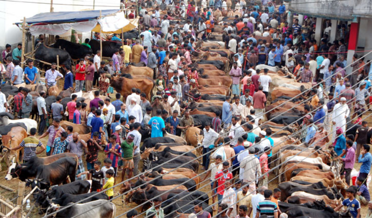 এই শীতে ভাঙন আতঙ্কে দিন কাটছে তাদের