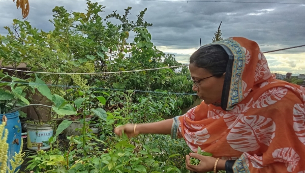 এই শীতে ভাঙন আতঙ্কে দিন কাটছে তাদের
