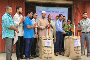 কমলগঞ্জে অভ্যন্তরীণ বোরো ধান সংগ্রহ অভিযান উদ্বোধন