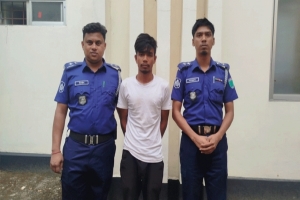 চুনারুঘাটে পারিবারিক কলহে ভাইয়ের হাতে ভাই খু'ন